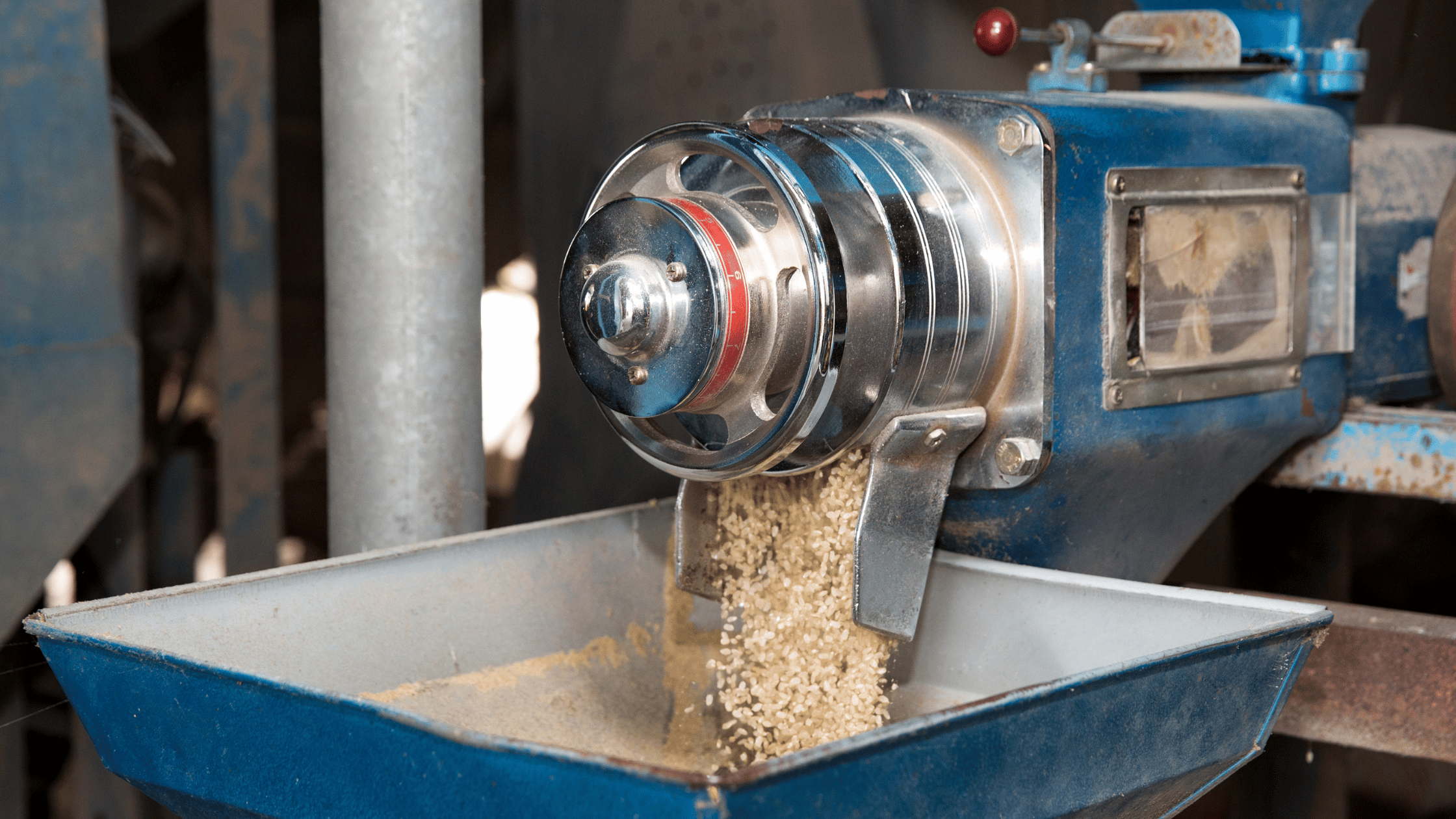 Rice Sorting Machine